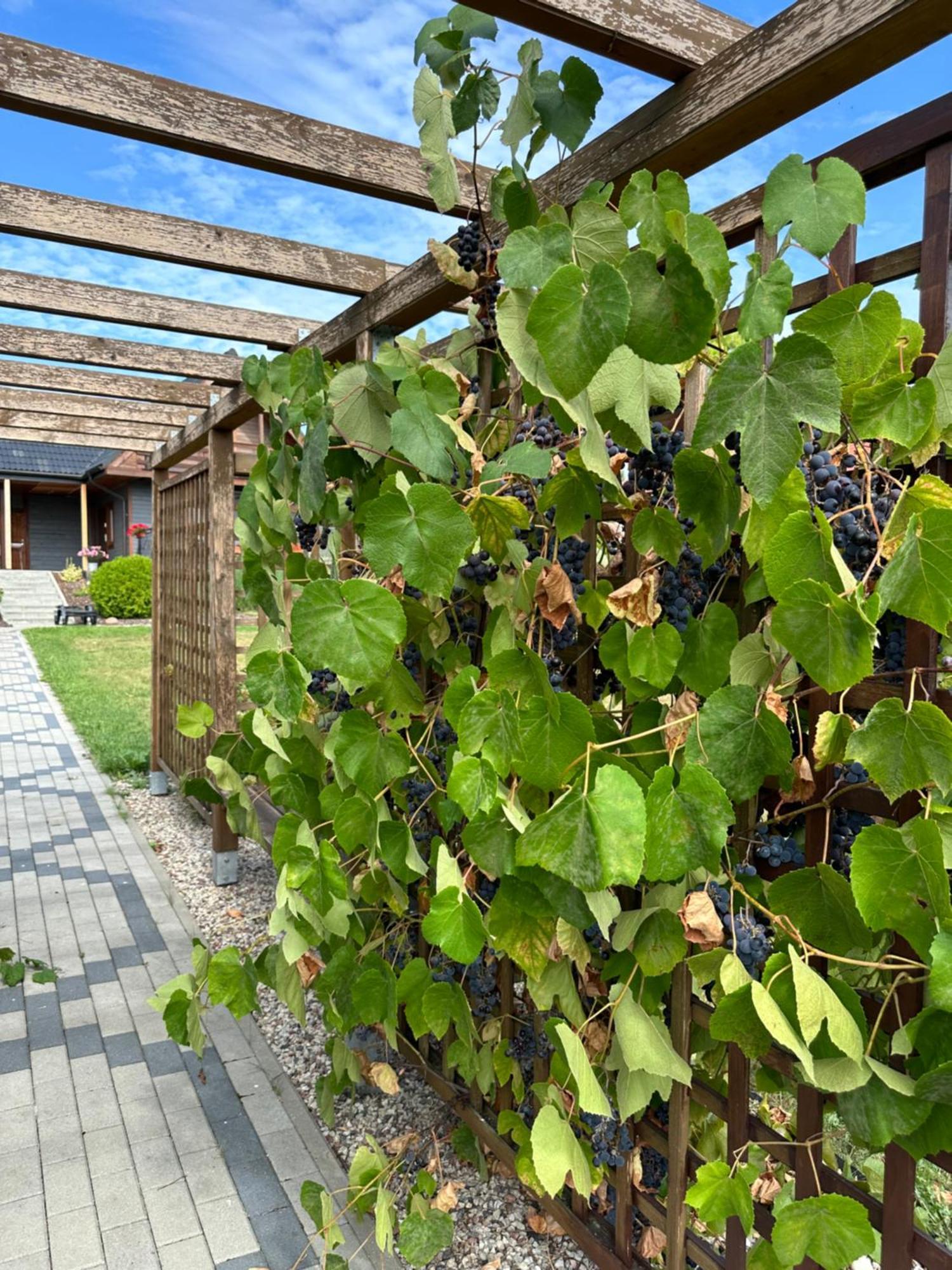 Rajska Przystan II Villa Wrony Bagian luar foto